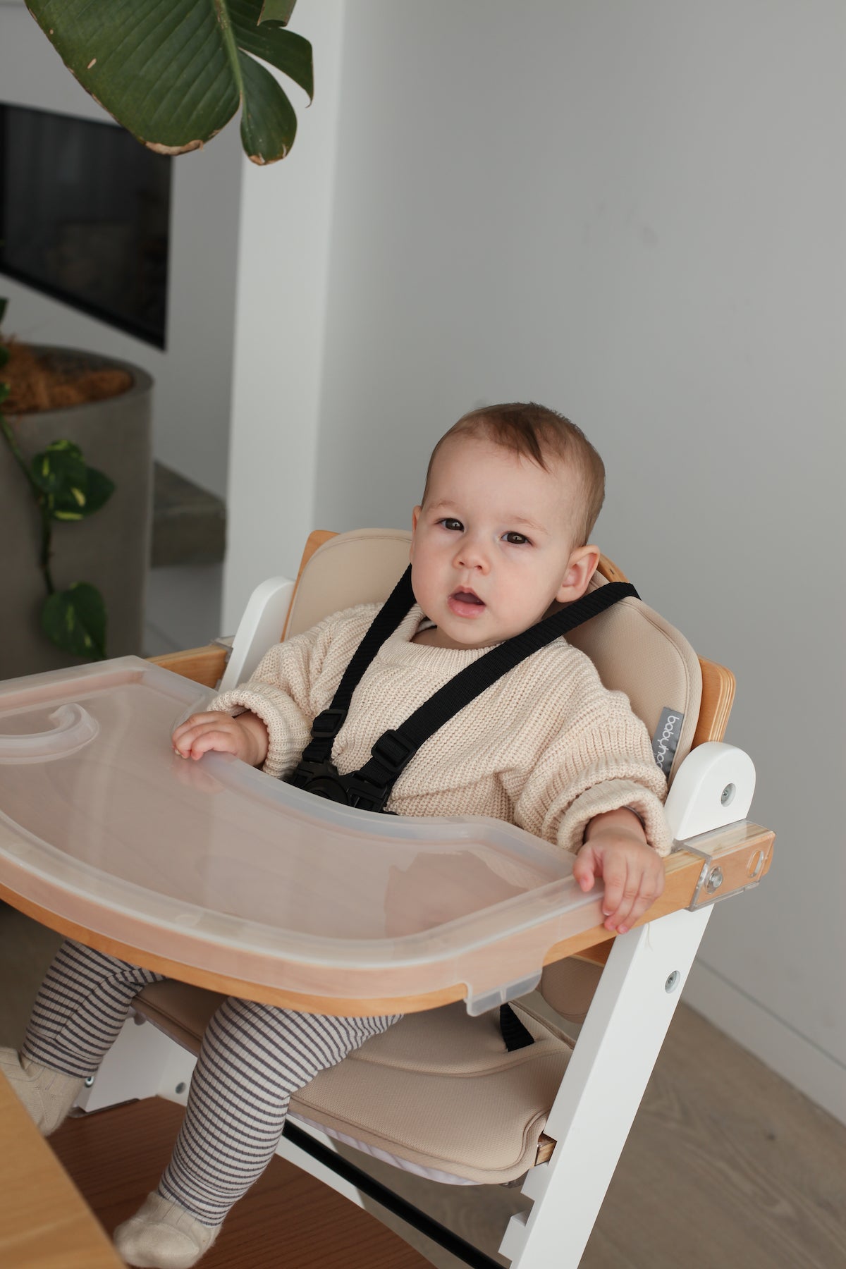 Ava High Chair- White / Beech